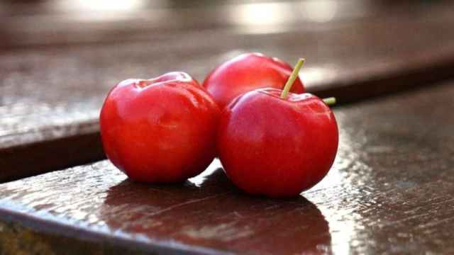 Frutos de acerola / Danielihardt en PIXABAY