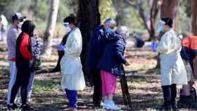 Ciudadanos de la ciudad de Adelaida, en Australia, hacen cola para un cribaje masivo del coronavirus / EP