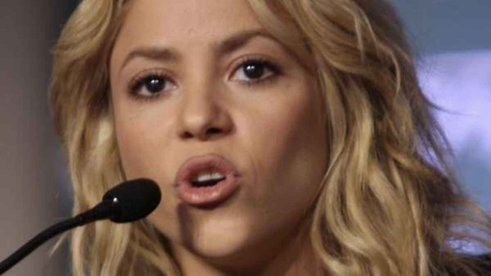 Shakira alza la voz   EFE