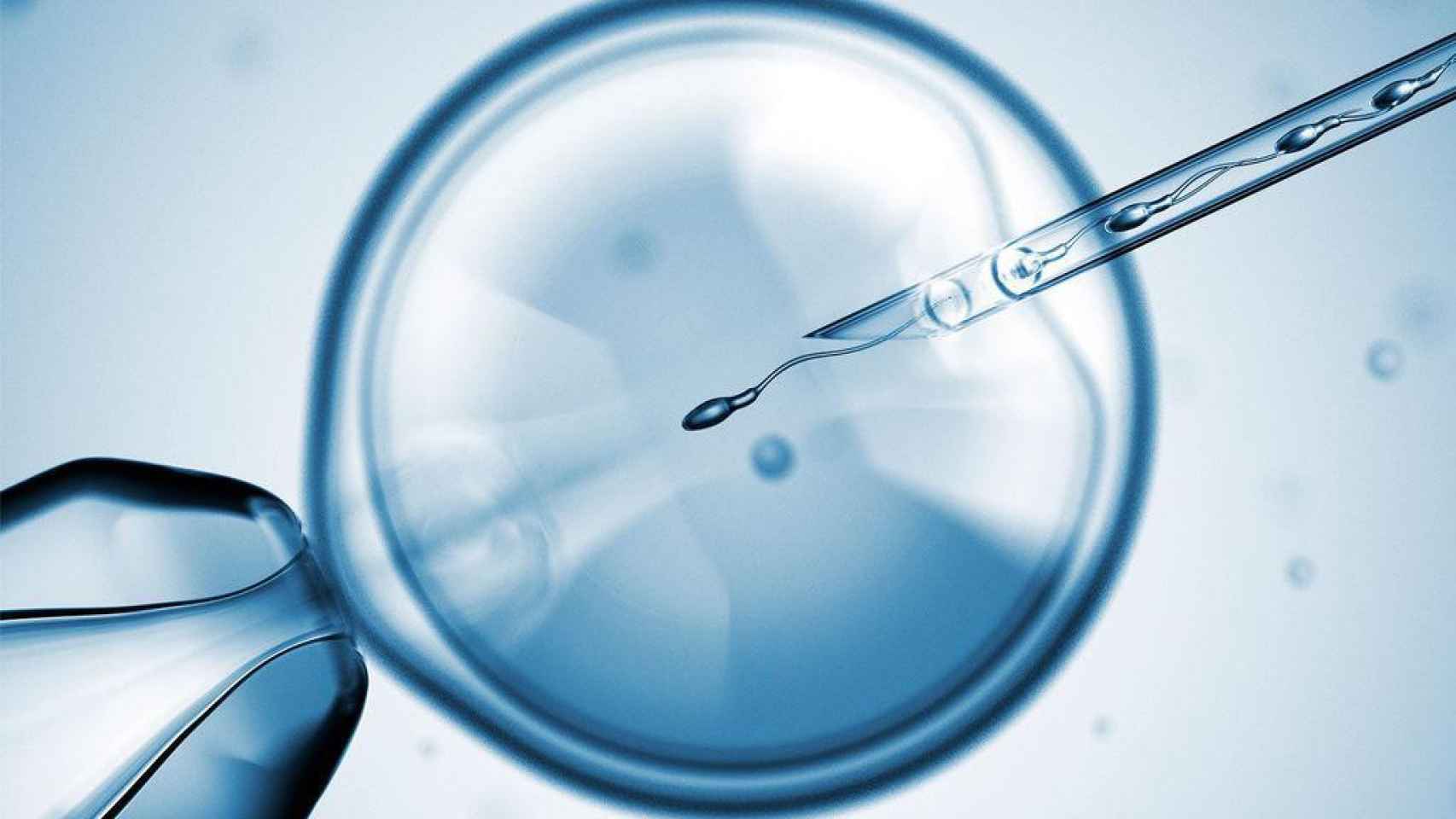 Imagen de un proceso de reproducción asistida mediante la fecundación del óvulo en una probeta / CG