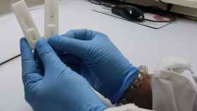 Dos tests rápidos para detectar el coronavirus / EP