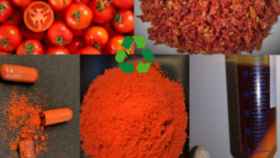 La empresa catalana SITEC Pharmabio recicla las pieles de tomate en complementos farmacéuticos / CEDIDA