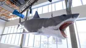 Instalación 'El tiburón Bruce'  / ACADEMY MUSEUM FOUNDATION