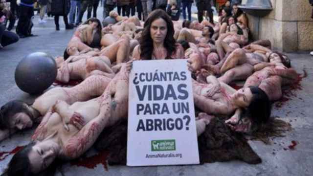 Manifestación animalista en Barcelona contra las granjas peleteras / TWITTER (@AnimaNaturalis)