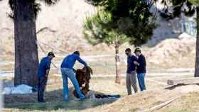 Los investigadores revisan los restos encontrados en el lugar donde se encontró el cuerpo de Janet Jumillas / EFE