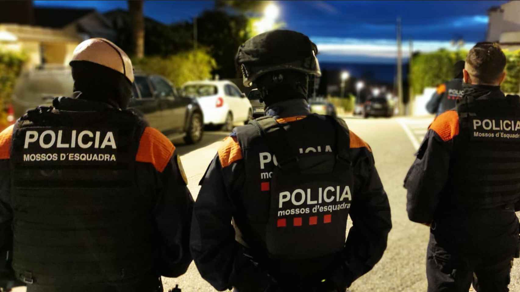 Agentes de la División de Investigación Criminal (DIC) durante el operativo contra el tráfico de marihuana en Cataluña / MOSSOS D'ESQUADRA