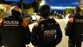 Agentes de la División de Investigación Criminal (DIC) durante el operativo contra el tráfico de marihuana en Cataluña / MOSSOS D'ESQUADRA
