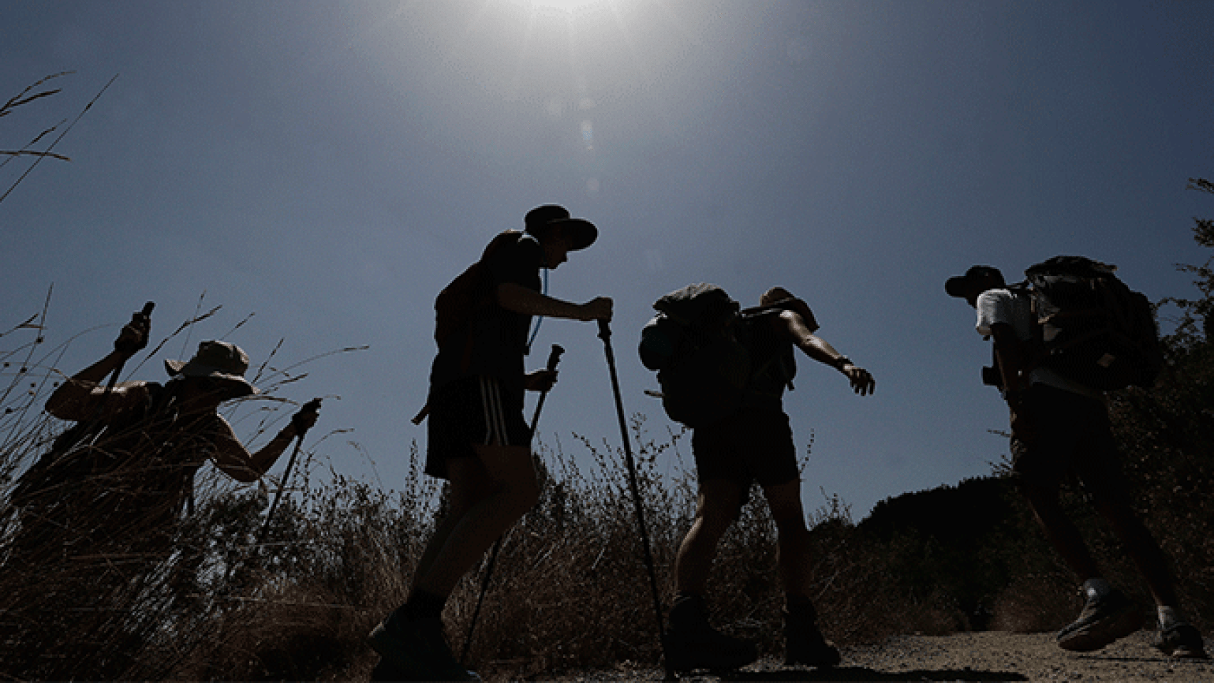 Un grupo de peregrinos hacen el Camino de Santiago durante la ola de calor / EFE