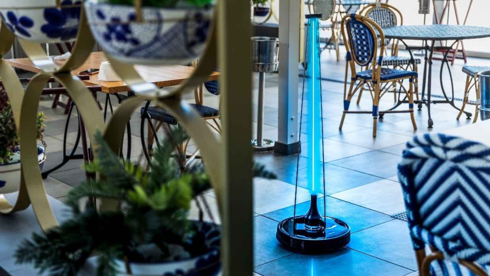 El robot Conga Apolo en un restaurante / CECOTEC