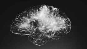Cerebro inflamado por culpa de la encefalitis / UNSPLASH