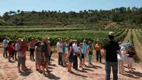 Turistas enológicos en las tierras de Lleida / ACT