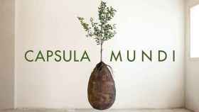 Capsula Mundi / CAPSULA MUNDI