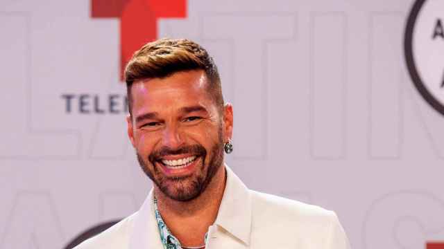 El cantante Ricky Martin / EFE