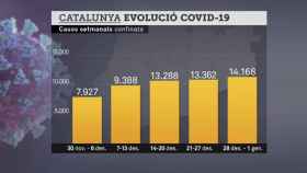 Gráfico del Canal 3/24 de Televisió de Catalunya sobre el coronavirus con las proporciones equivocadas /