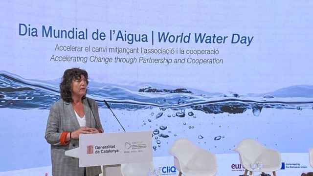 La 'consellera' de Acción Climática, Alimentación y Agenda Rural, Teresa Jordà / GOVERN