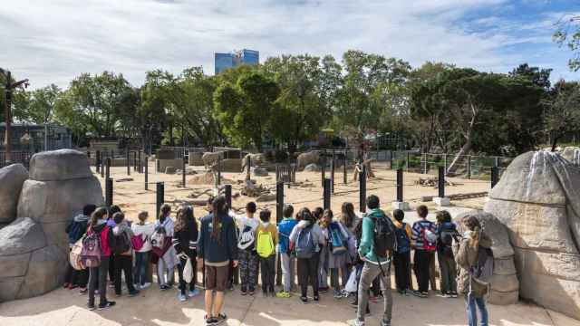 El zoo de Barcelona, en una de sus actividades programadas / EP