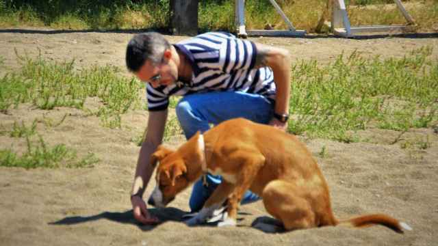 Adiestramiento de uno de los perros para detectar el Covid-19 / K-ANARY