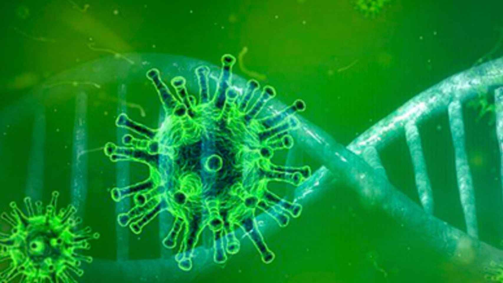 El coronavirus visto desde el microscopio / SALUT