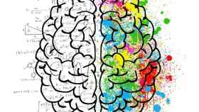 El cerebro se puede estimular mediante la gimnasia cerebral / Elisa Riva - PIXABAY