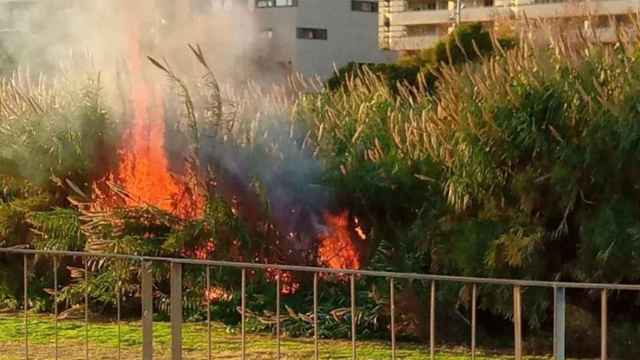 Incendio en la vegetación del río Besòs en Sant Adrià / PROTECCIÓN CIVIL SANT ADRIÀ