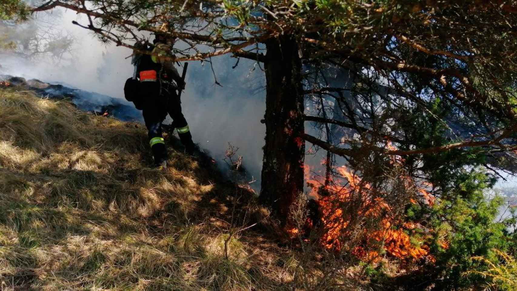 Incendio en el bosque de la Devesa de Les Valls de Valira / BOMBEROS