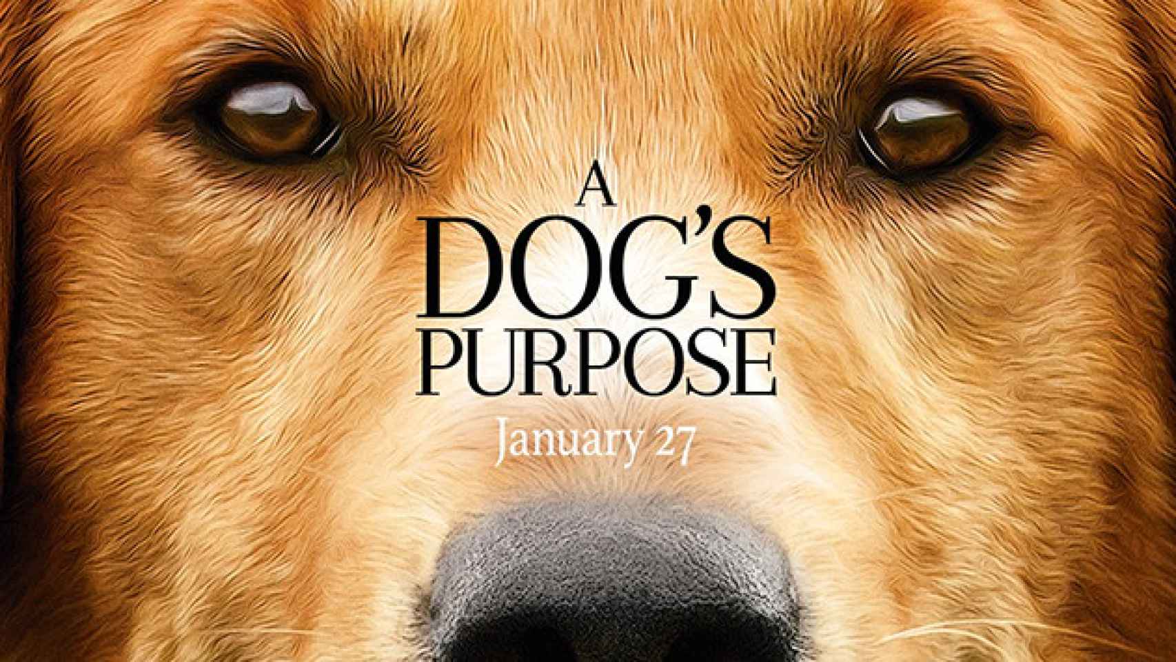 Cartel de 'A Dog's Purpose' / CG