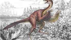 Ilustración de Anzu wyliei que muestra varias características anatómicas llamativas de este gran dinosaurio emplumado, de cola larga, pico sin dientes y cresta en la parte superior de su cráneo.