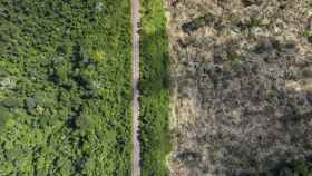 La destrucción del medioambiente, plasmada con la deforestación del Amazonas / EP