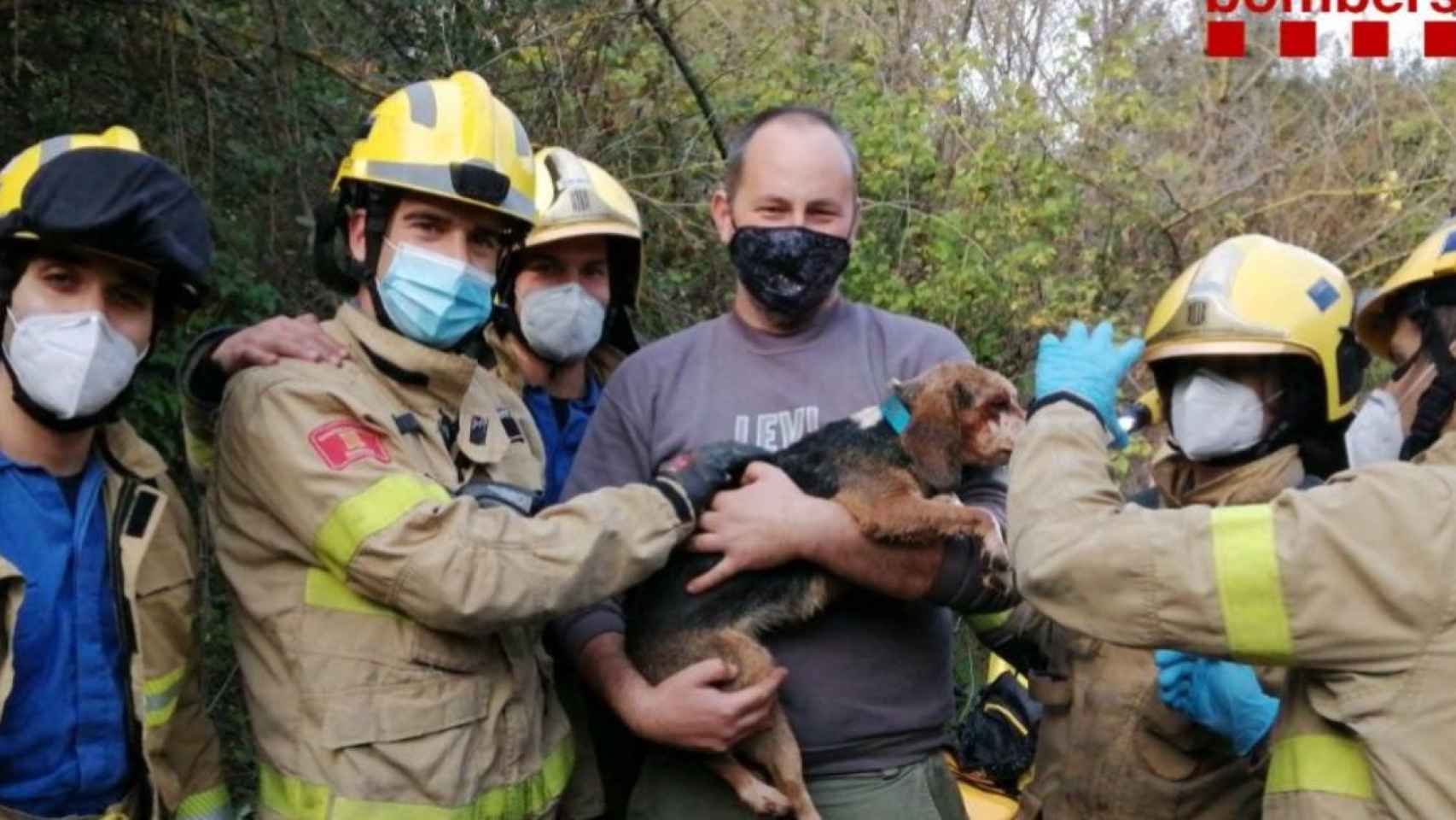 Los bomberos con la perrita después del rescate / TWITTER