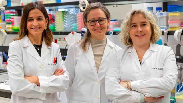 Begoña López, Susana Ravassa y Arantxa González, investigadoras en enfermedades cardiovasculares del CIMA Universidad de Navarra / CIMA