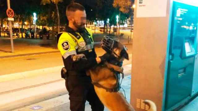 R., el vigilante agredido en noviembre con Bronco, el perro también apuñalado que le salvó la vida / CG