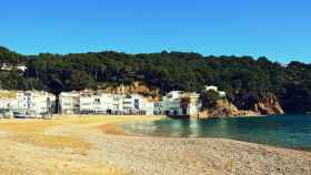 La playa de Llané Petit en Cadaqués, donde ha muerto el hombre de 45 años / COSTABRAVA