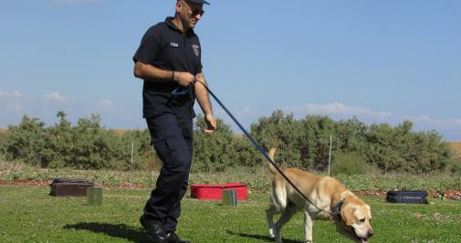 Un agente entrena a una nueva unidad canina / CG