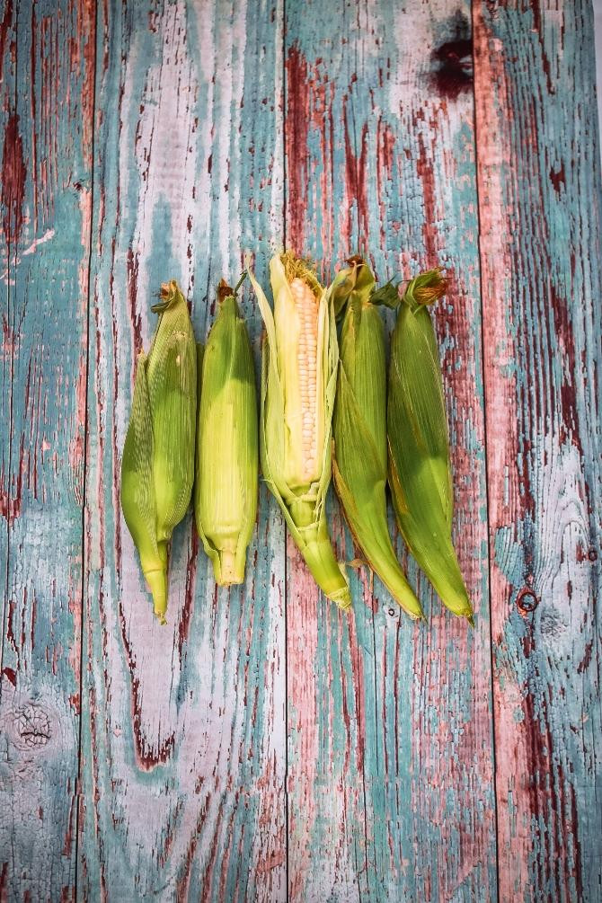 Imagen de mazorcas de maíz, de donde también se extrae harina / Kristen Kaethler en UNSPLASH