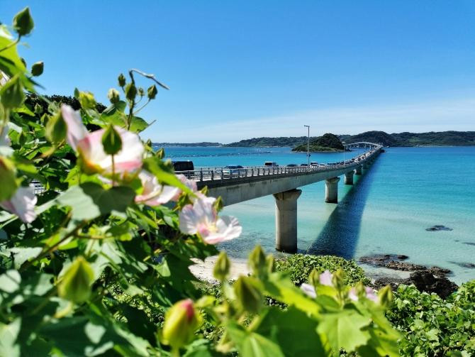Paisaje de Okinawa donde sus centenarios vecinos se rigen por el ikigai / Samuel Berner en UNSPLASH