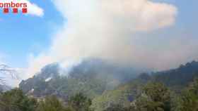 Incendio de Gandesa, que los bomberos han controlado este domingo / BOMBERS