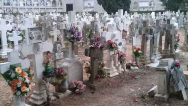 Cementerio de Sant Cristòfol de Lleida, donde han robado crucifijos y jarrones días antes de Todos los Santos / GOOGLE STREET VIEW