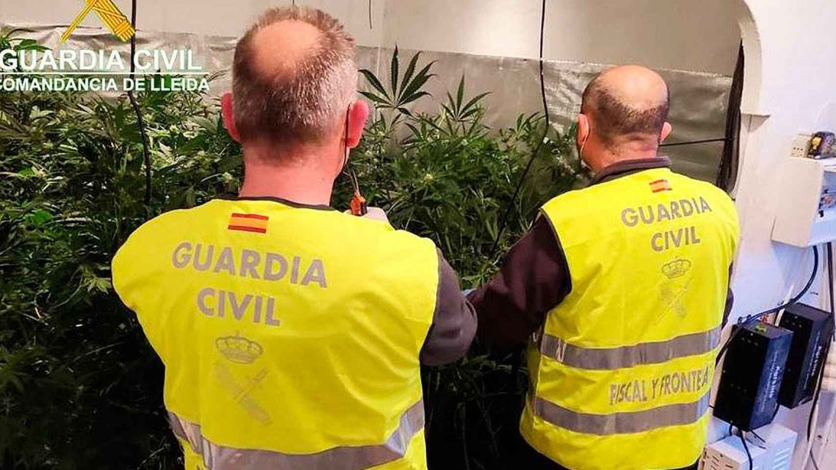 Dos agentes de la Guardia Civil en una intervención antidroga en Lleida / GC