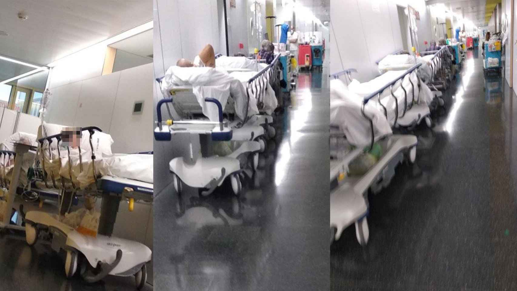 Pacientes en camillas en los pasillos del Hospital del Mar / URGÈNCIES DEL MAR