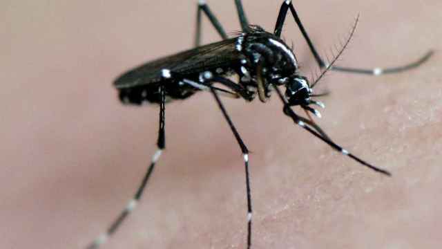 La malaria y el dengue son dos de las enfermedades más frecuentes en viajeros internacionales