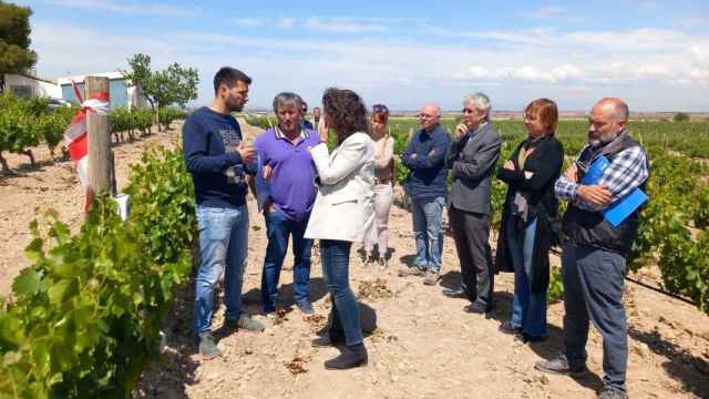 La 'consellera' de Agricultura, Teresa Jordà, de visita en la zona del Canal d'Urgell