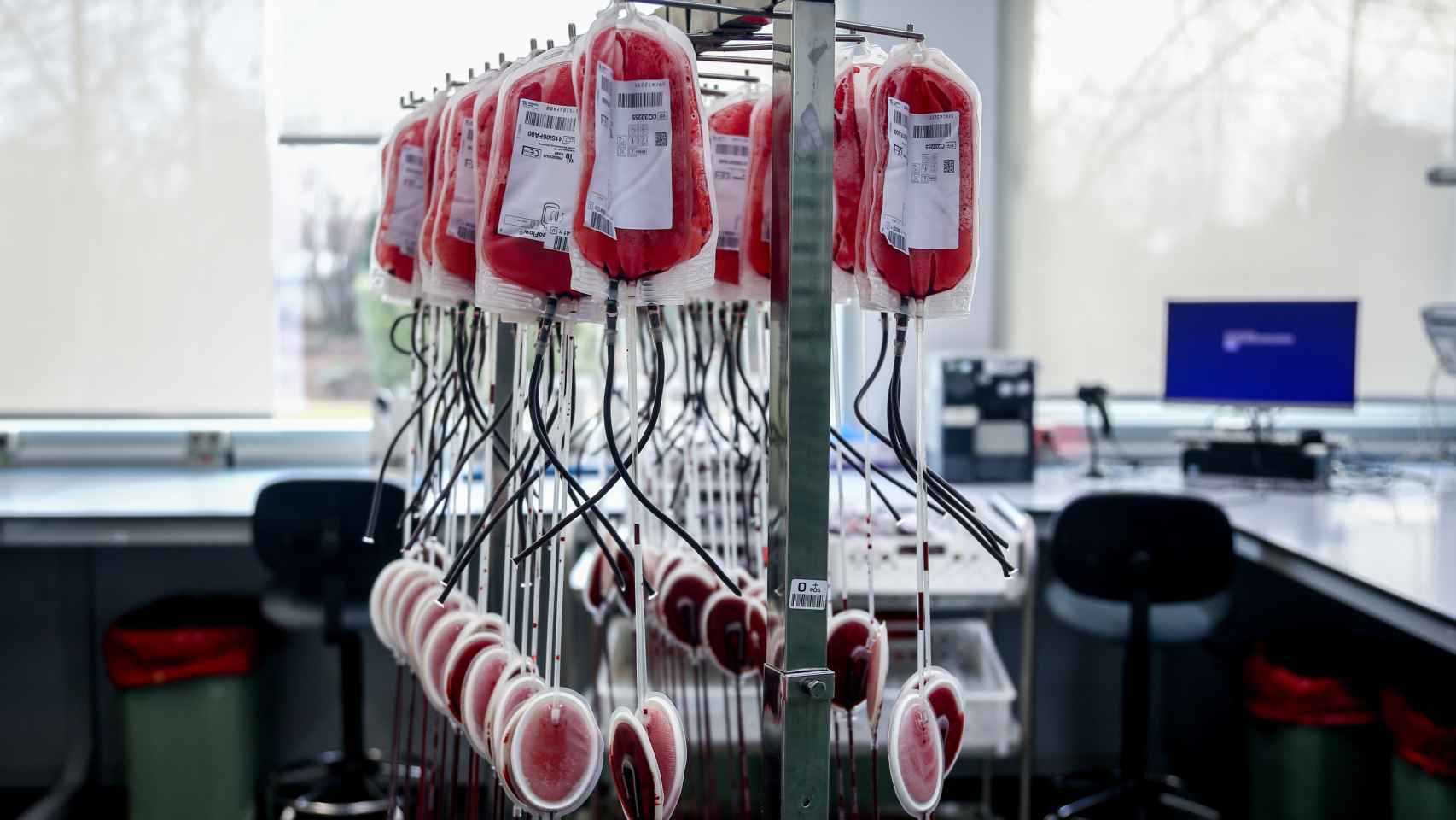 Bolsas de sangre en un laboratorio del centro de transfusión
