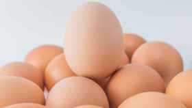 El huevo protagoniza una de las grandes preguntas sin respuesta de la historia