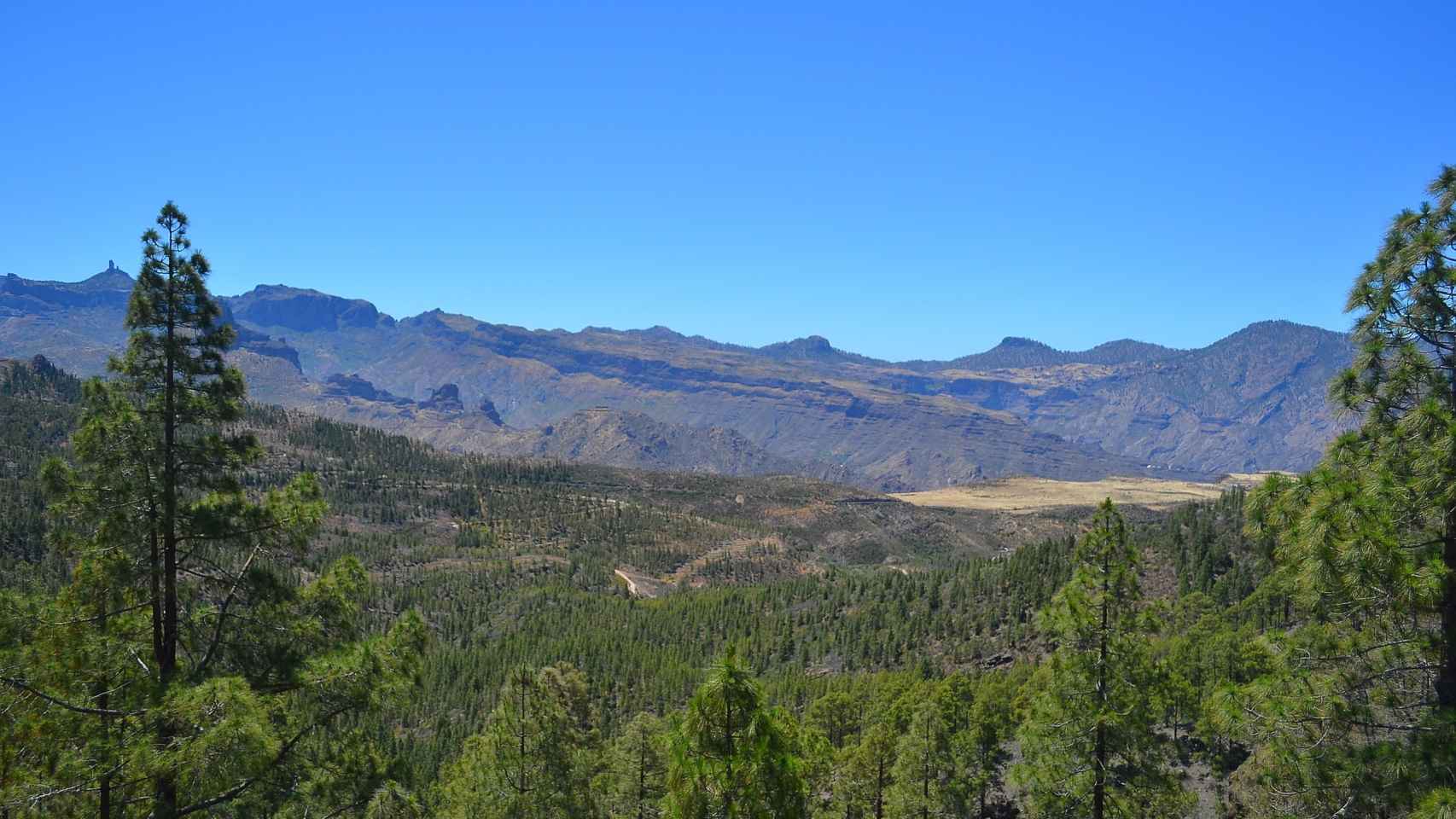 l Parque Natural de Tamadaba cuenta con uno de los pinares mejor conservados de Canarias