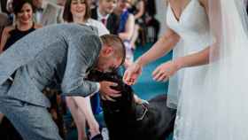 Las parejas con mascota defienden su presencia en bodas y celebraciones