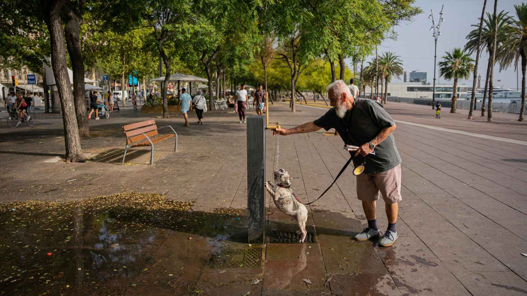 Un vecino refresca a su perro en la Barceloneta, en Barcelona