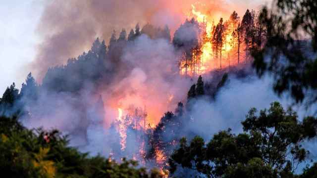 El riesgo de incendio forestal se dispara con las altas temperaturas