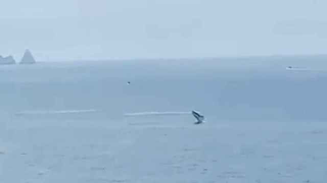 Una ballena ante la costa de Pals