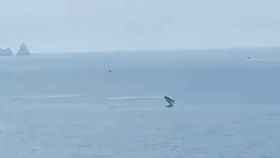 Una ballena ante la costa de Pals