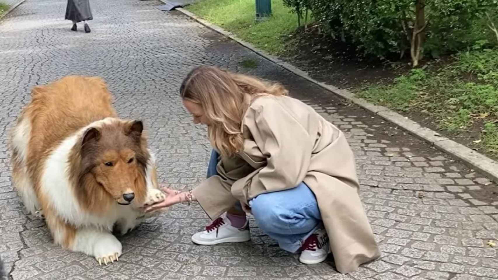 Un perro sorprende cada hora en las vallas publicitarias de Tokio - CNN  Video